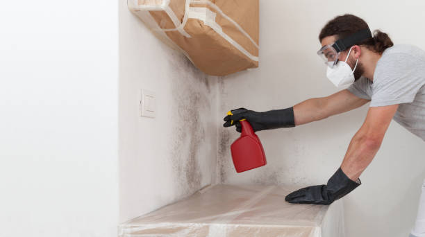 Professional Crawl Space Mold Removal technician working in Clarendon Hills, IL