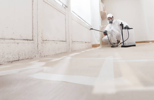 24/7 Emergency Crawl Space Mold Removal experts in Clarendon Hills, IL